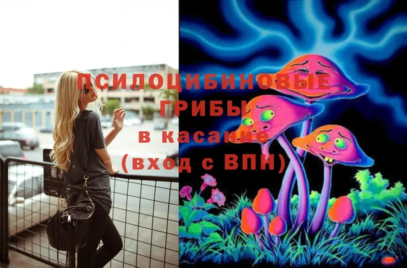 Галлюциногенные грибы Psilocybe  Макарьев 